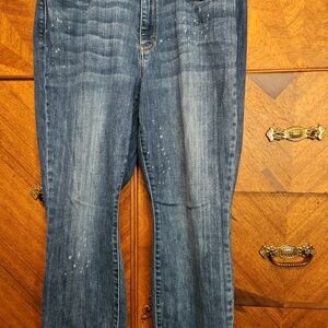 Judy Blue 14W Women’s Blue Denim Jeans - Classic Straight Leg